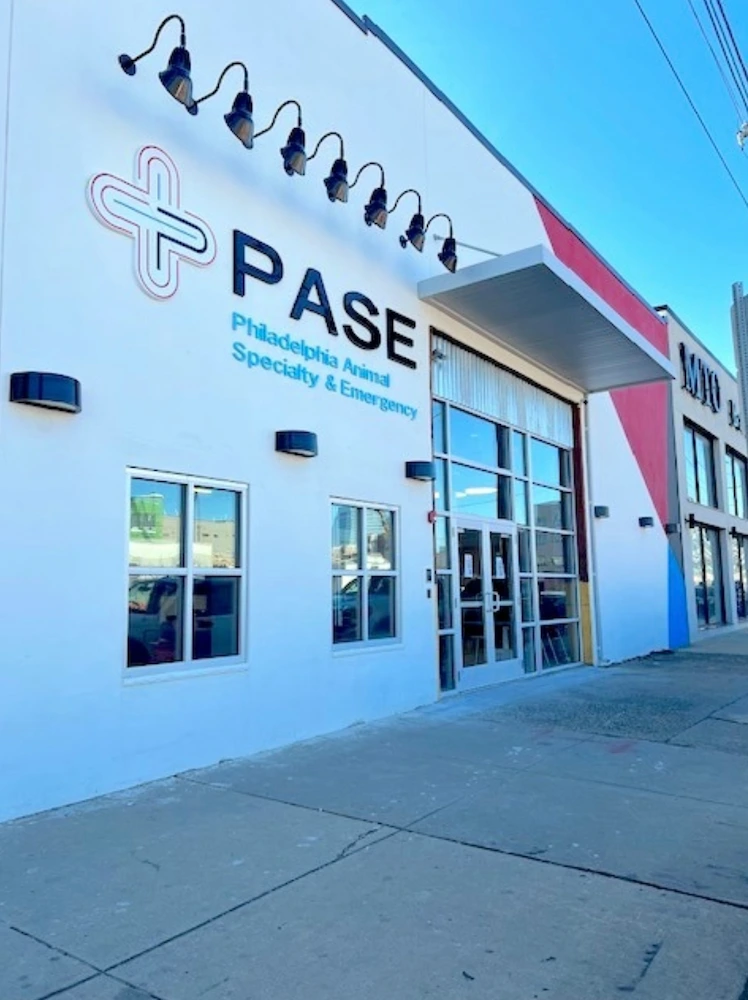 Philadelphia Animal Hospital A/V