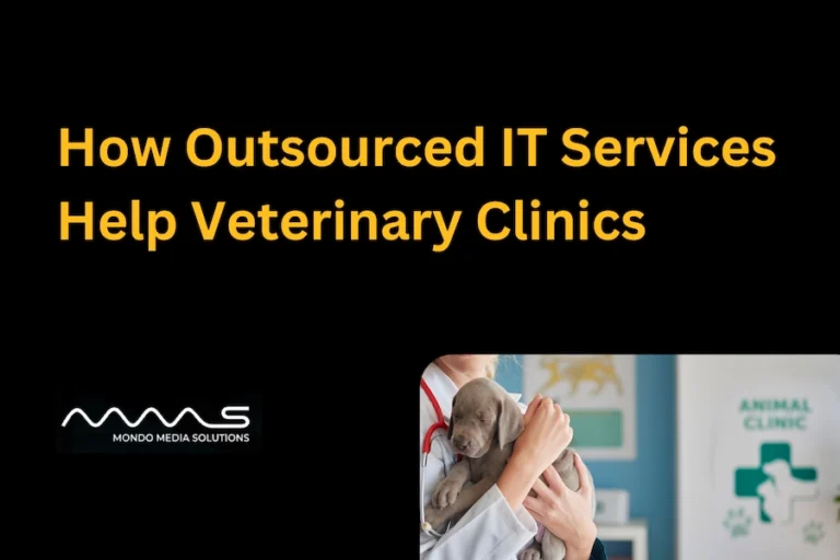 How Outsourced IT Services Help Veterinary Clinics