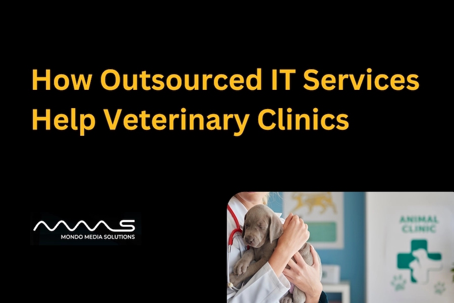 How Outsourced IT Services Help Veterinary Clinics